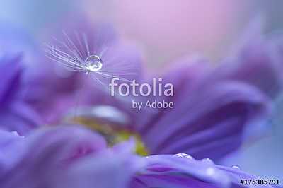 A dandelion seed with a drop of dew on a purple flower. Art work (poszter) - vászonkép, falikép otthonra és irodába