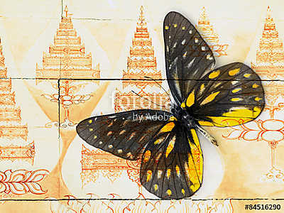 butterfly( Thai background ) (fotótapéta) - vászonkép, falikép otthonra és irodába