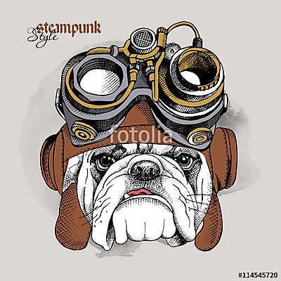 The image of the bulldog portrait in the Steampunk helmet. Vecto (poszter) - vászonkép, falikép otthonra és irodába