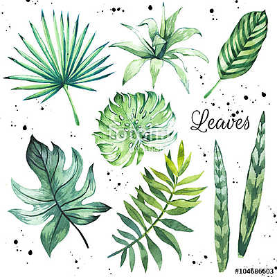 Illustration with tropical leaves. Watercolor set of green leave (keretezett kép) - vászonkép, falikép otthonra és irodába