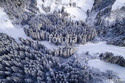 Tűleveles erdő télen (légi felvétel) (bögre) - vászonkép, falikép otthonra és irodába