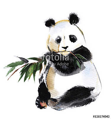 Panda with bamboo sprig isolated on a white background, watercol (poszter) - vászonkép, falikép otthonra és irodába