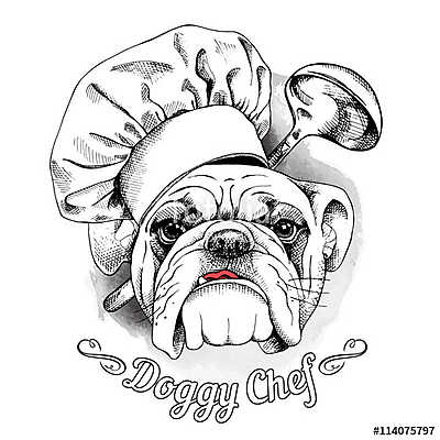 The poster with the image of dog Bulldog in the hat of chef and  (poszter) - vászonkép, falikép otthonra és irodába