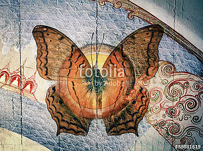 butterfly (fotótapéta) - vászonkép, falikép otthonra és irodába