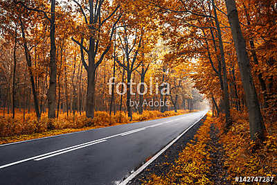 Autumn road (többrészes kép) - vászonkép, falikép otthonra és irodába