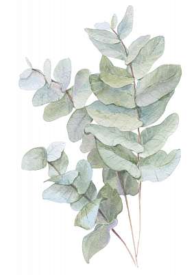 watercolor illustration leaves (bögre) - vászonkép, falikép otthonra és irodába