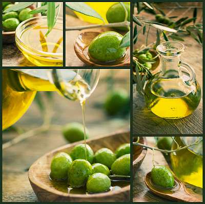 Frissen betakarított olívabogyóolaj, olívaolaj olajfán (fotótapéta) - vászonkép, falikép otthonra és irodába