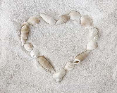 Fehér seashells fehér homokkal (bögre) - vászonkép, falikép otthonra és irodába