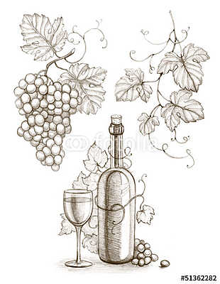 Borosüveg és pohár szőlőkkel tollrajz (fotótapéta) - vászonkép, falikép otthonra és irodába