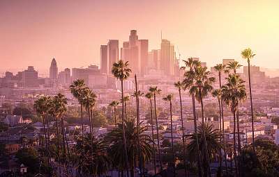 Beautiful sunset of Los Angeles downtown skyline and palm trees  (bögre) - vászonkép, falikép otthonra és irodába