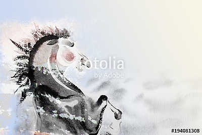 Absztrakt ló (akvarell) (többrészes kép) - vászonkép, falikép otthonra és irodába