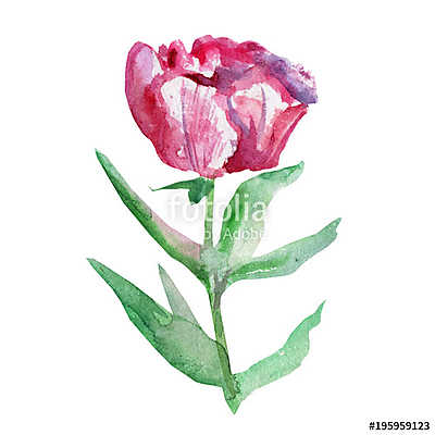 Watercolor pink peony flower, green leaf hand drawn painting ill (keretezett kép) - vászonkép, falikép otthonra és irodába