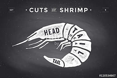 Cut of meat set. Poster Butcher diagram and scheme - Shrimp (poszter) - vászonkép, falikép otthonra és irodába