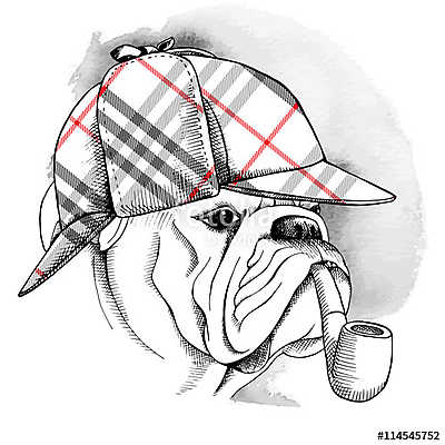 The Image Portrait of a dog Bulldog wearing the deerstalker and  (többrészes kép) - vászonkép, falikép otthonra és irodába