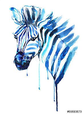 zebra (keretezett kép) - vászonkép, falikép otthonra és irodába