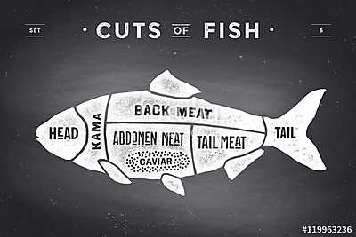 Cut of meat set. Poster Butcher diagram and scheme - Fish (keretezett kép) - vászonkép, falikép otthonra és irodába