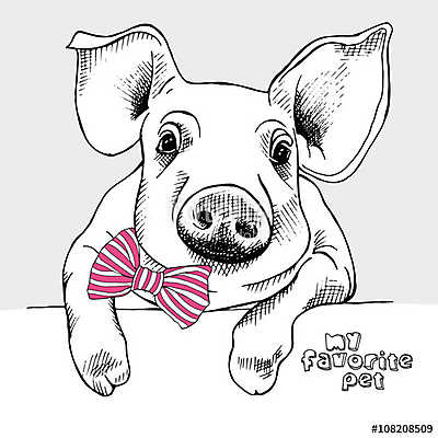 Image of a small pig with a bow. Vector illustration. (bögre) - vászonkép, falikép otthonra és irodába