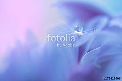 The seed of a dandelion with water drop on purple flower. Macro  (keretezett kép) - vászonkép, falikép otthonra és irodába