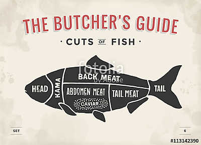 Cut of meat set. Poster Butcher diagram and scheme - Fish. Vinta (poszter) - vászonkép, falikép otthonra és irodába