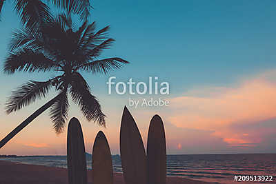 Silhouette surfboard on tropical beach at sunset in summer. Seascape of summer beach and palm tree at sunset. Vintage color tone (bögre) - vászonkép, falikép otthonra és irodába