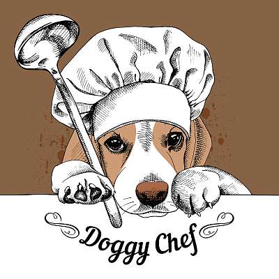 The poster with the image of dog Beagle in the hat of chef and w (fotótapéta) - vászonkép, falikép otthonra és irodába