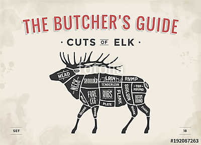 Cut of meat set. Poster Butcher diagram, scheme - Elk. Vintage t (poszter) - vászonkép, falikép otthonra és irodába