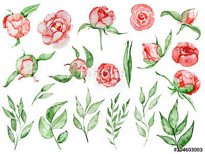 Watercolor red peonies flowers and leaves set Hand drawn illustr (keretezett kép) - vászonkép, falikép otthonra és irodába