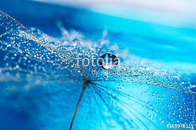 Beautiful dew drops on a dandelion seed macro. Beautiful soft li (keretezett kép) - vászonkép, falikép otthonra és irodába