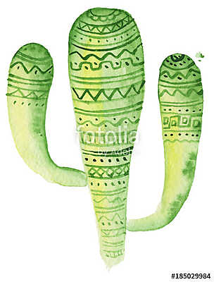 Watercolor tropical cactus hand drawn illustration isolated on w (keretezett kép) - vászonkép, falikép otthonra és irodába