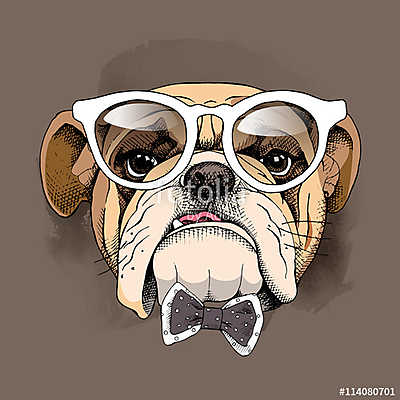 Bulldog portrait in a glasses and with a tie. Vector illustratio (többrészes kép) - vászonkép, falikép otthonra és irodába
