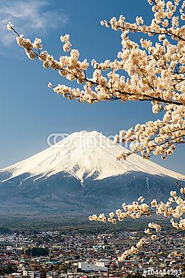 Mount Fuji a cseresznyefa ágakkal, Japánban (többrészes kép) - vászonkép, falikép otthonra és irodába