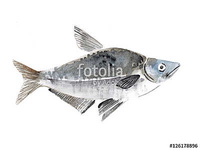 Egy másik hal (többrészes kép) - vászonkép, falikép otthonra és irodába