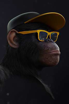 Bölcs majom 1. - (Bal, Nem lát) (fotótapéta) - vászonkép, falikép otthonra és irodába