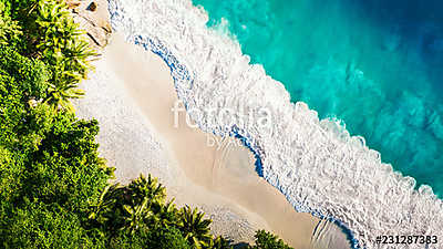 Tropical beach with sea and palm taken from drone. Seychelles famous shark beach - aerial photo (fotótapéta) - vászonkép, falikép otthonra és irodába