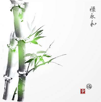 Bambusz (többrészes kép) - vászonkép, falikép otthonra és irodába