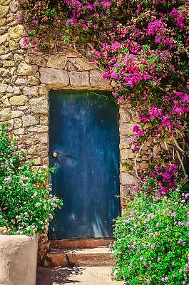 Különböző színes bejárati ajtó, virágokkal körülvéve (keretezett kép) - vászonkép, falikép otthonra és irodába