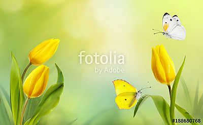 Spring floral template background. A beautiful bouquet of yellow (bögre) - vászonkép, falikép otthonra és irodába