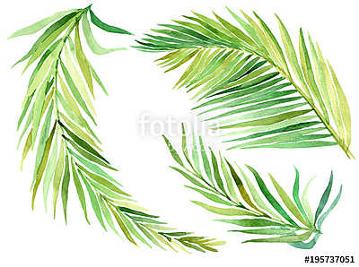Tropical leaves set. Jungle botanical watercolor illustrations,  (poszter) - vászonkép, falikép otthonra és irodába