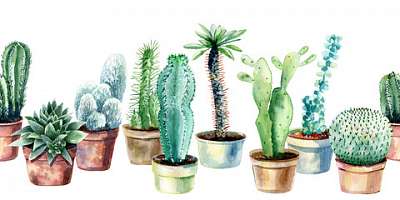 Kaktuszok cserépben tapétacsík (fotótapéta) - vászonkép, falikép otthonra és irodába
