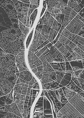 Budapest city plan, detailed vector map (bögre) - vászonkép, falikép otthonra és irodába