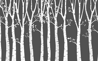 Nyírfa erdő grafika sötét háttéren (keretezett kép) - vászonkép, falikép otthonra és irodába