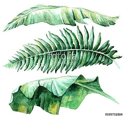 Tropical watercolor leaves set (többrészes kép) - vászonkép, falikép otthonra és irodába