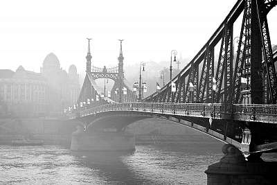 Szabadság-híd a ködben, Budapest, Magyarország. (fotótapéta) - vászonkép, falikép otthonra és irodába