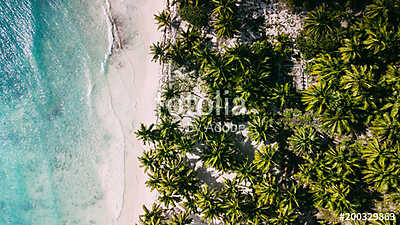 Left ocean and right palms. Middle beach (poszter) - vászonkép, falikép otthonra és irodába