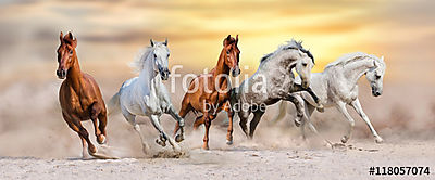 A lóállomány sivatagi porban gyorsan fut a drámai naplemente égb (poszter) - vászonkép, falikép otthonra és irodába