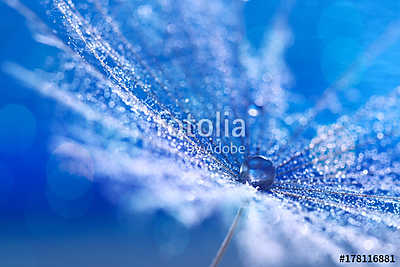 A drop on a beautiful dandelion in the form of a fan. Beautiful  (vászonkép óra) - vászonkép, falikép otthonra és irodába