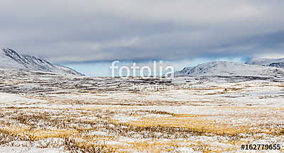 Winter Dovrefjell (fotótapéta) - vászonkép, falikép otthonra és irodába