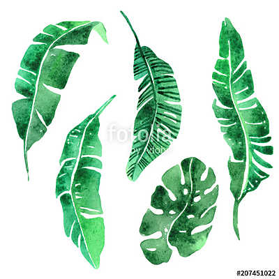 Tropical leaves set. (poszter) - vászonkép, falikép otthonra és irodába