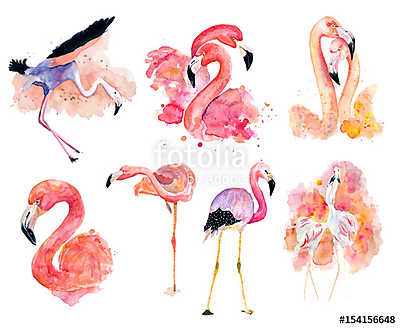 Rózsaszín flamingók (többrészes kép) - vászonkép, falikép otthonra és irodába