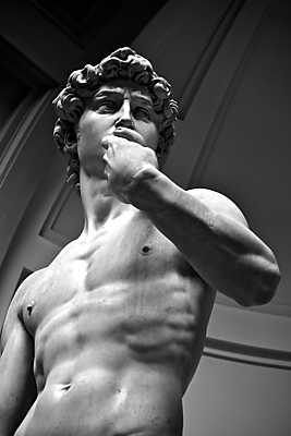 Michelangelo David szobor (többrészes kép) - vászonkép, falikép otthonra és irodába